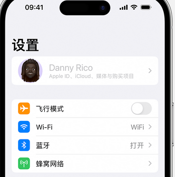 大方appleID维修服务iPhone设置中Apple ID显示为灰色无法使用