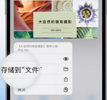 大方apple维修中心分享iPhone文件应用中存储和找到下载文件