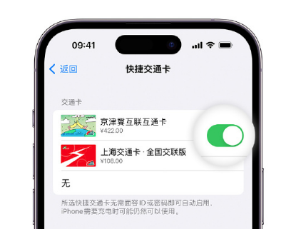 大方apple维修点分享iPhone上更换Apple Pay快捷交通卡手绘卡面 