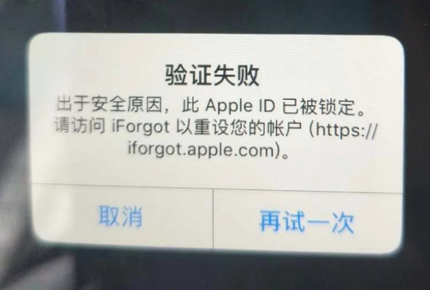 大方iPhone维修分享iPhone上正常登录或使用AppleID怎么办 