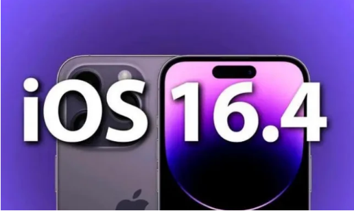 大方苹果14维修分享：iPhone14可以升级iOS16.4beta2吗？ 