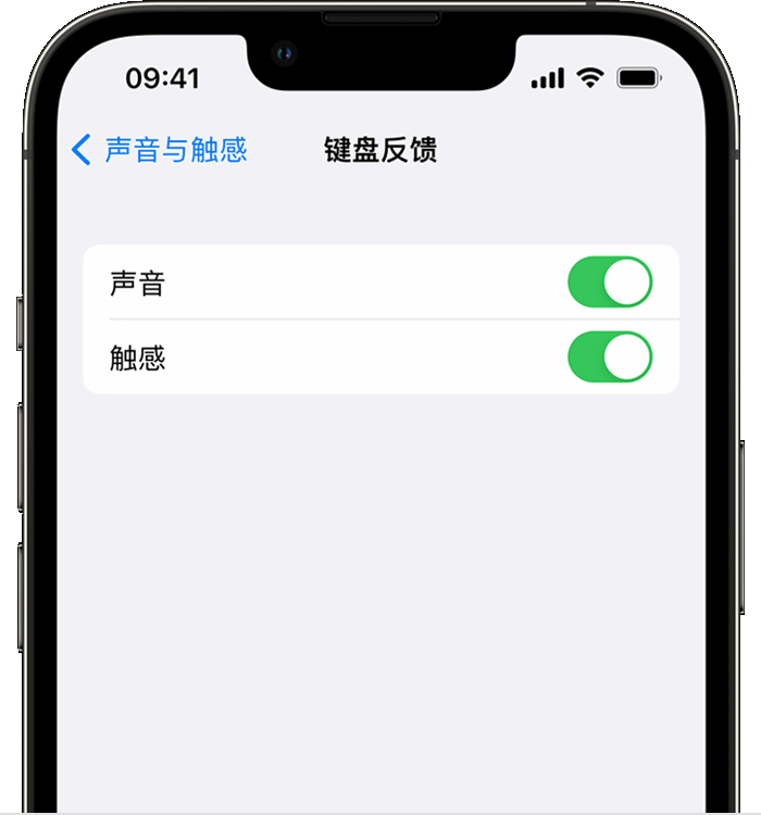 大方苹果14维修店分享如何在 iPhone 14 机型中使用触感键盘 