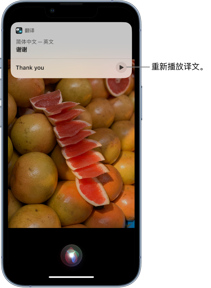 大方苹果14维修分享 iPhone 14 机型中使用 Siri：了解 Siri 能帮你做什么 