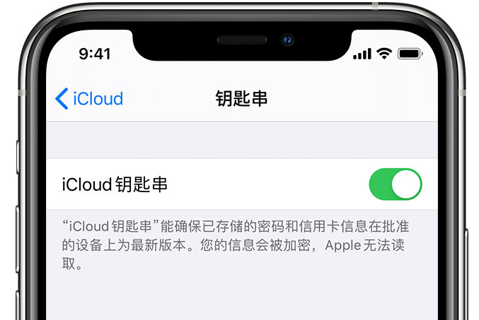 大方苹果手机维修分享在 iPhone 上开启 iCloud 钥匙串之后会储存哪些信息 