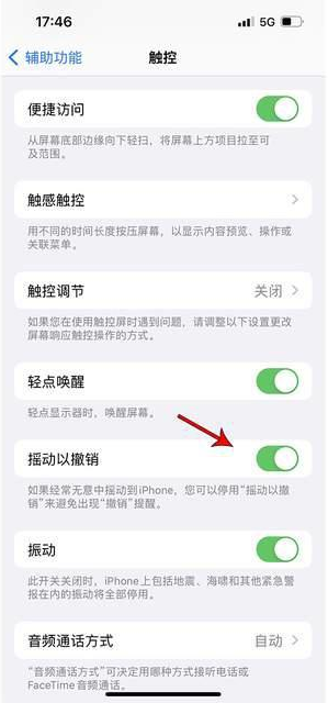 大方苹果手机维修分享iPhone手机如何设置摇一摇删除文字 