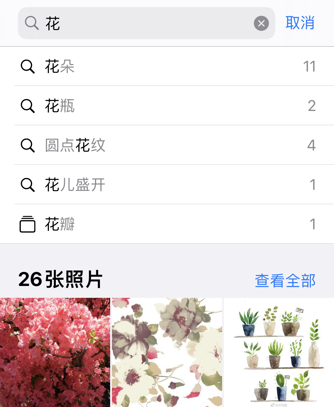 大方苹果手机维修分享iPhone 小技巧 