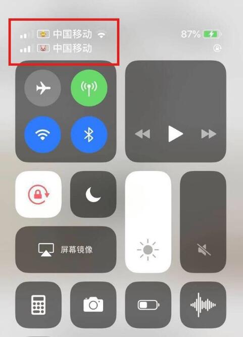 大方苹果手机维修分享为 iPhone 12 双卡设置标签 