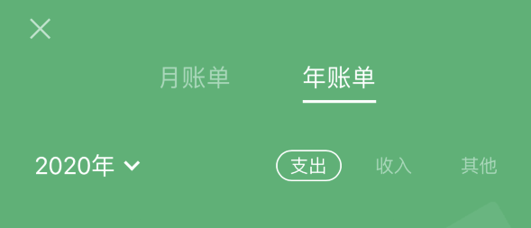 大方苹果手机维修分享如何在 iPhone 上查看支付宝和微信年支出账单 